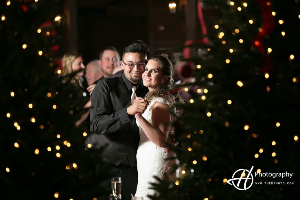  Winter  Weddings  Chicagoland area  H Photography